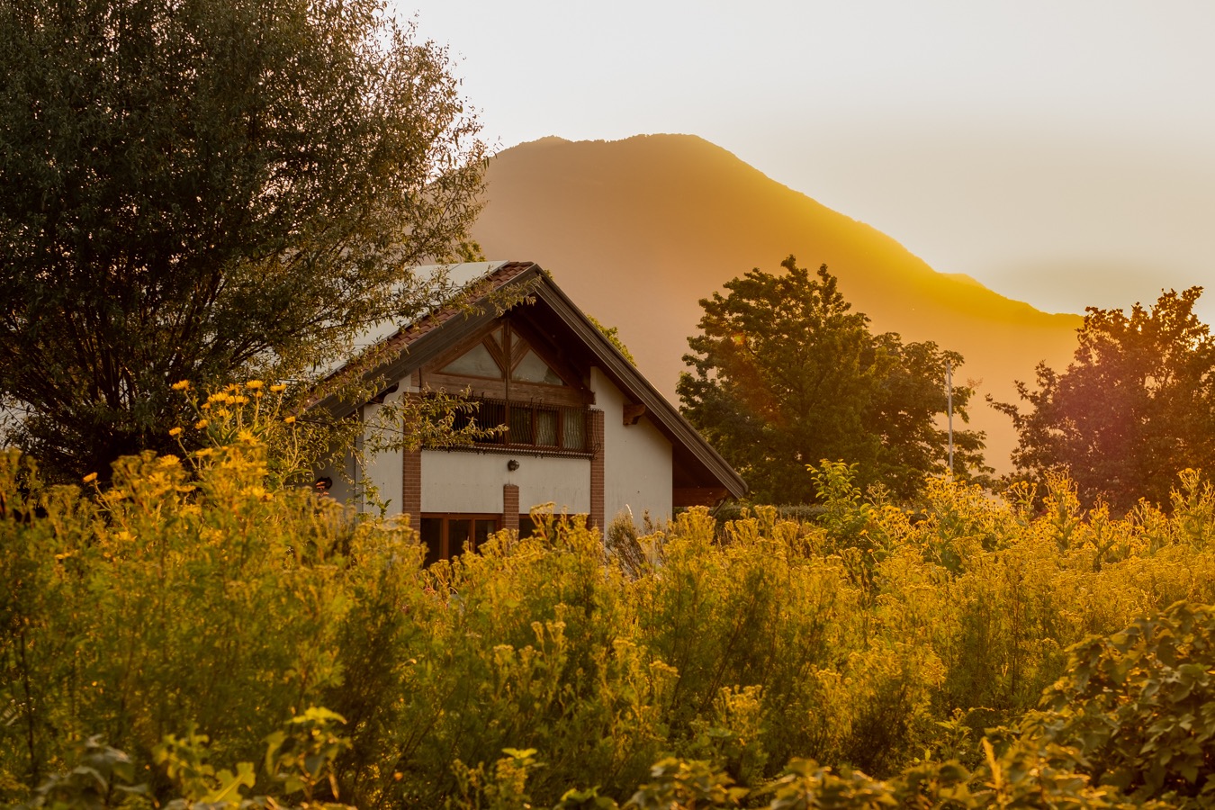 La sede dell’azienda immersa nelle coltivazioni al tramonto