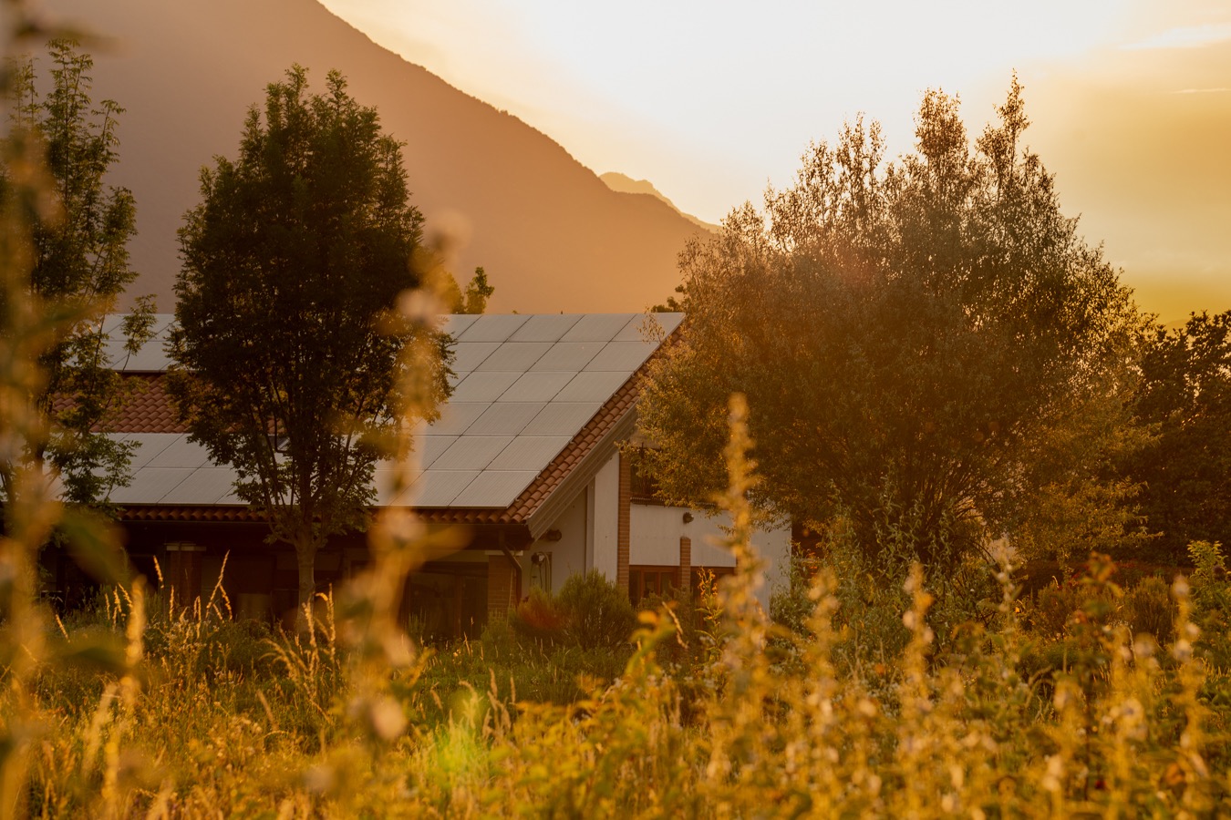 La sede immersa nelle piante con pannelli fotovoltaici